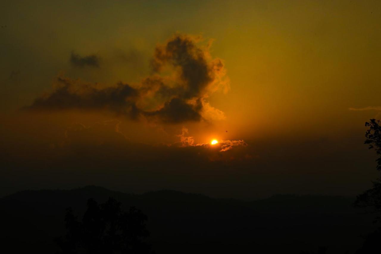 Copperhill- A Luxury Homestay Madikeri Extérieur photo
